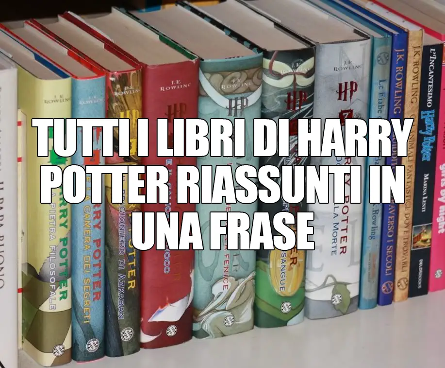 Tutti i libri di Harry Potter riassunti in una frase E a te